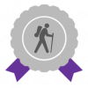 Silver award with purple ribbons and traveller icon